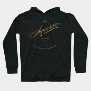 Aquarius Hoodie